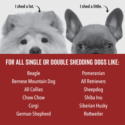 DOGDAYS De-Shedding Dog Shampoo