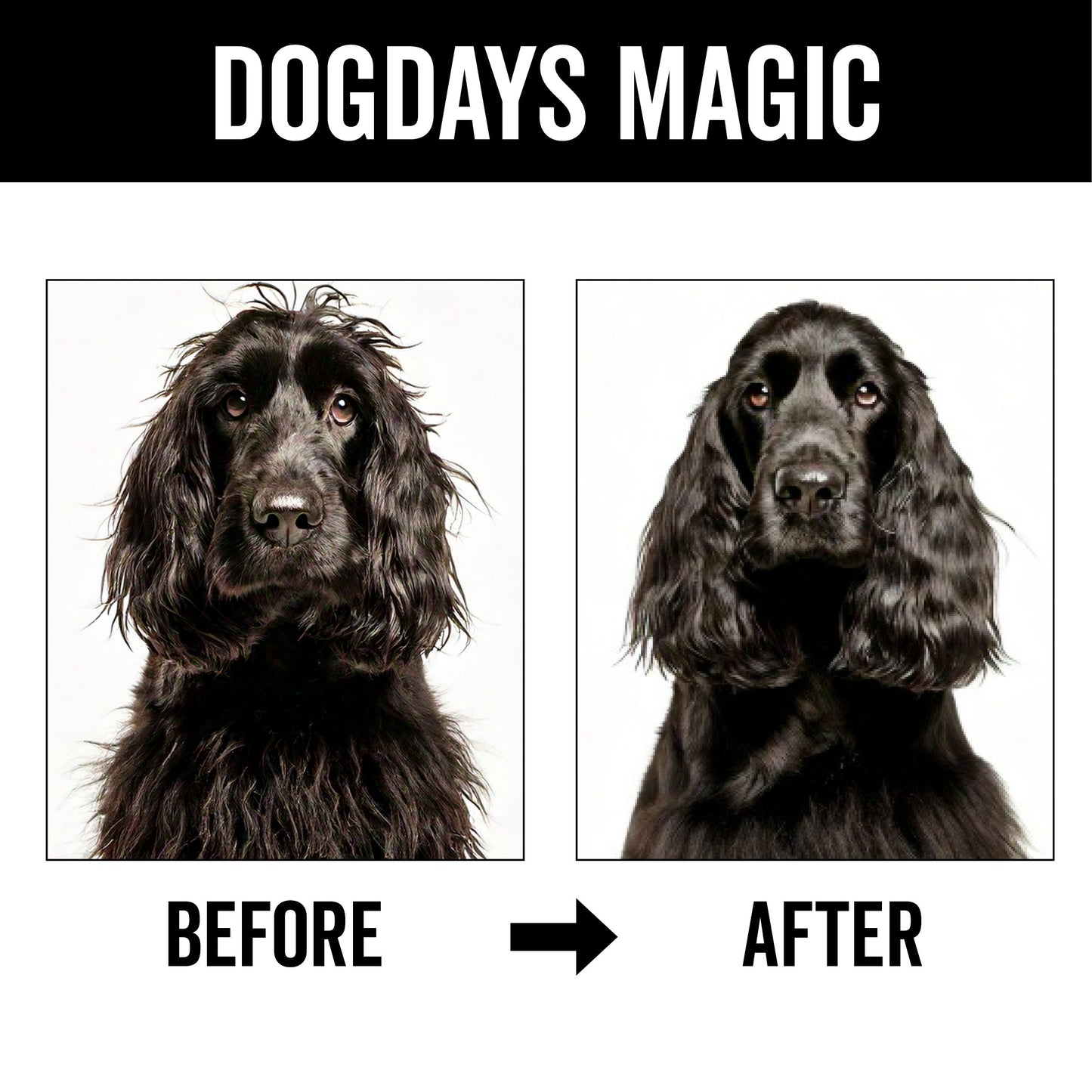 DOGDAYS Leave-In Detangling Spray