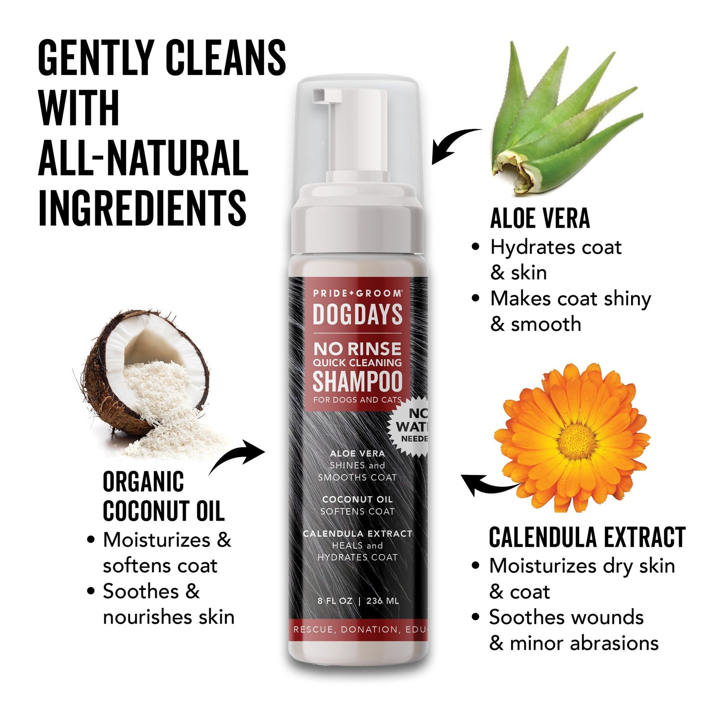 DOGDAYS Waterless Foaming Shampoo