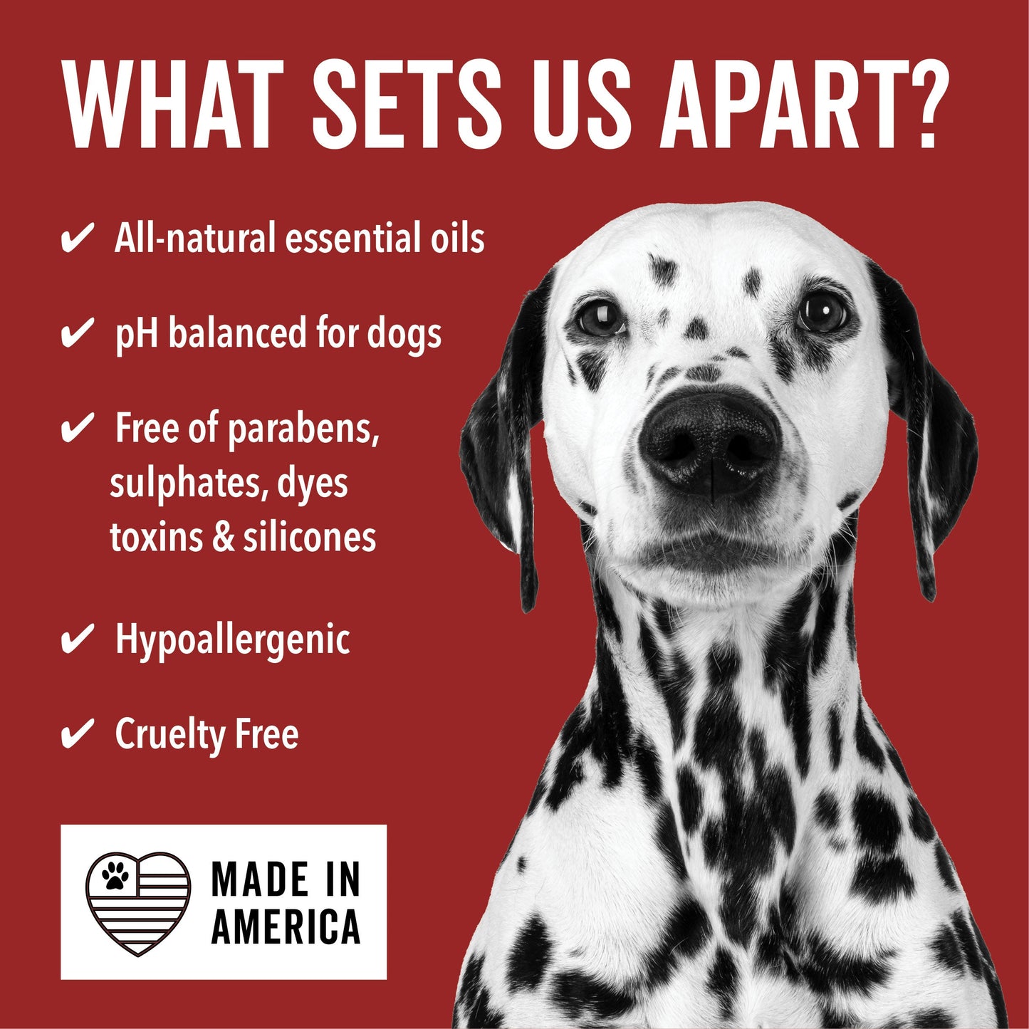 DOGDAYS Waterless Foaming Shampoo