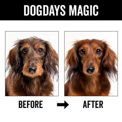 DOGDAYS Waterless Foaming Shampoo