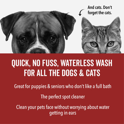 DOGDAYS Waterless Foaming Shampoo