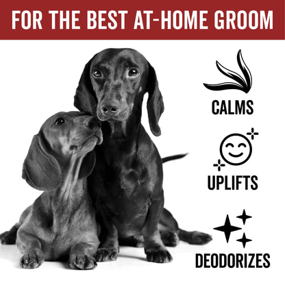 DOGDAYS Dog Deodorizing Spray