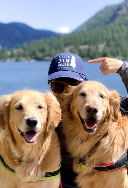 Blue "I Like Big Mutts" hat worn by person with two golden retrievers outdoors near lake and mountains