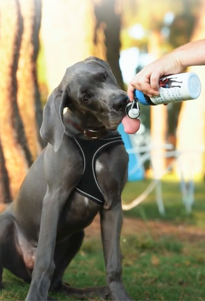 Dog Water Bottle: Never Walk Alone - Easy to Use Hydration Solution