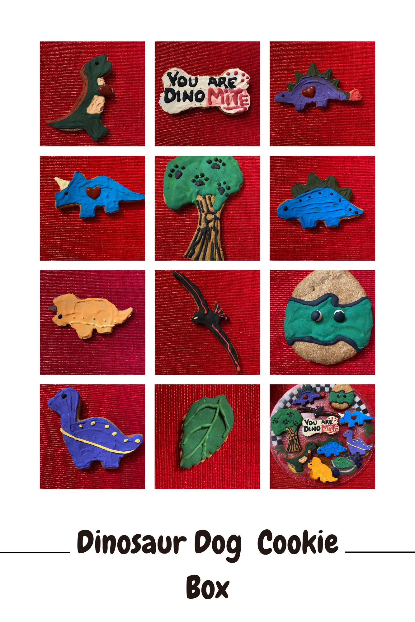 Assorted colorful dinosaur-shaped organic dog cookies with playful designs on red background in a gift box