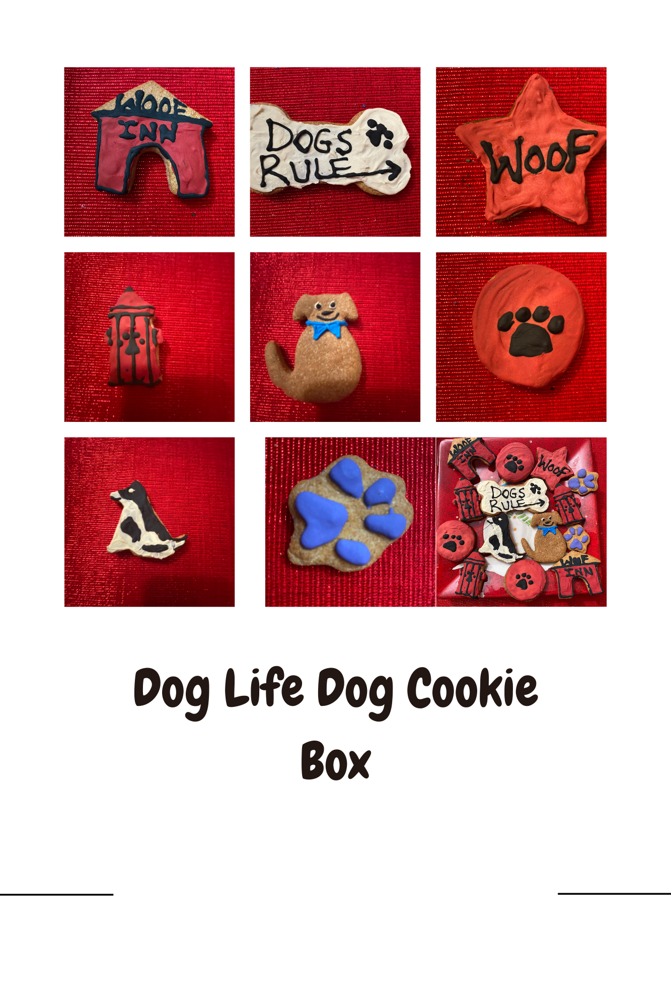 Organic dog cookies in playful shapes including doghouse, bone, star, lantern, dog, paw print, and assorted treats with colorful icing from Dog Life Organic Dog Cookie Box