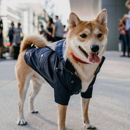 Windproof and rainproof British retro thick all weather dog raincoat