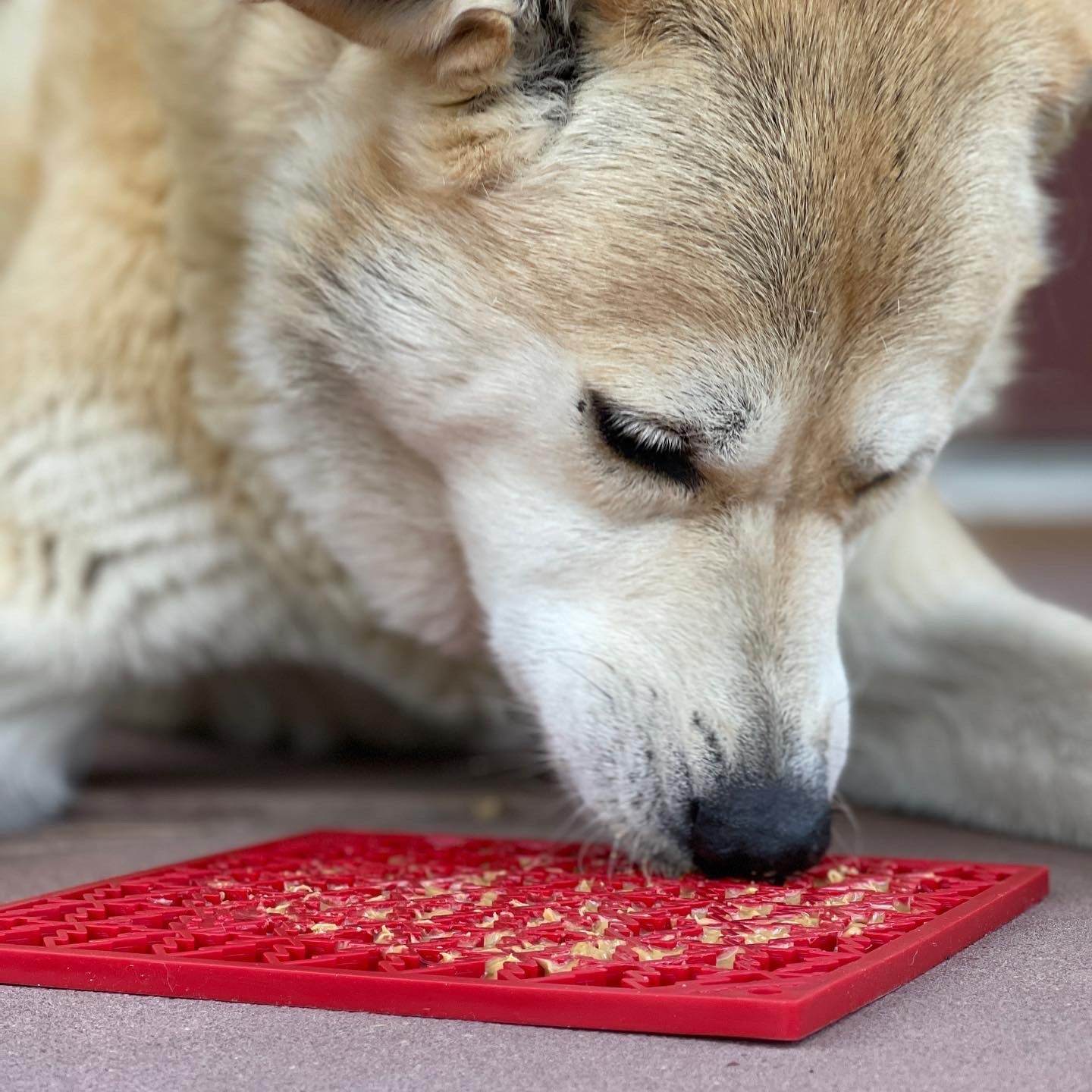 Dog licking red Peace Tree eMat enrichment lick mat with textured Christmas tree design for calming and mental stimulation