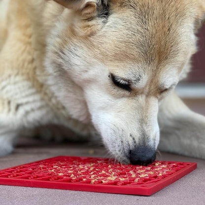 Dog licking red Peace Tree eMat enrichment lick mat with textured Christmas tree design for calming and mental stimulation