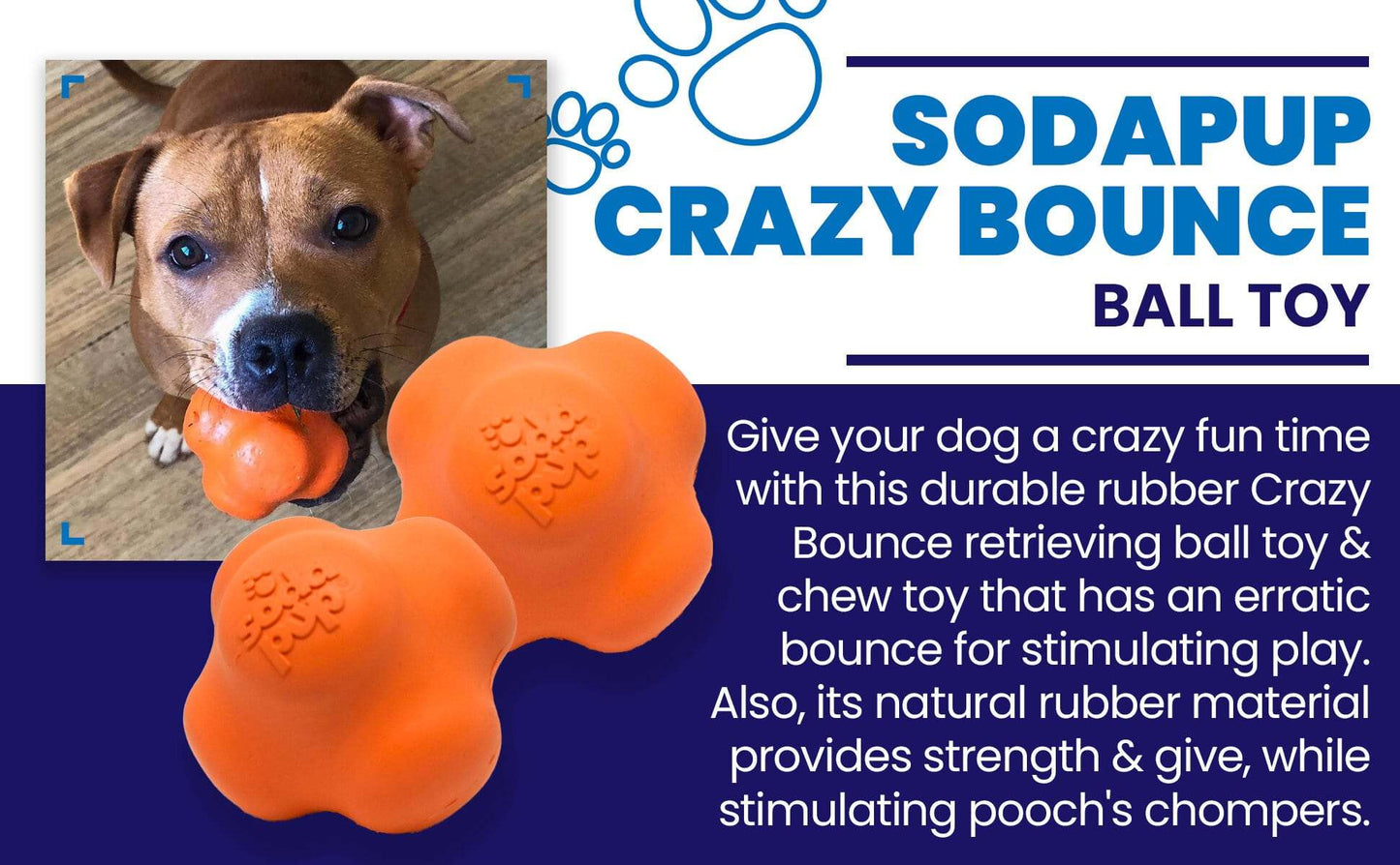 Dog playing with orange Crazy Bounce Ultra Durable Rubber Chew toy ball designed for erratic bounce and durable chewing