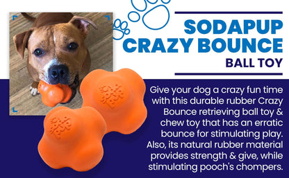 Dog playing with orange Crazy Bounce Ultra Durable Rubber Chew toy ball designed for erratic bounce and durable chewing