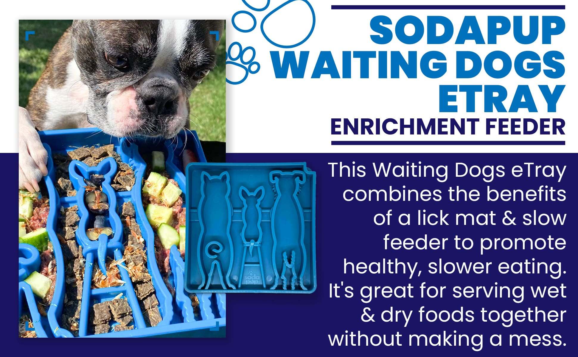 Waiting Dogs Design eTray shallow blue slow feeder tray with dog pattern for mental enrichment and healthy slow eating