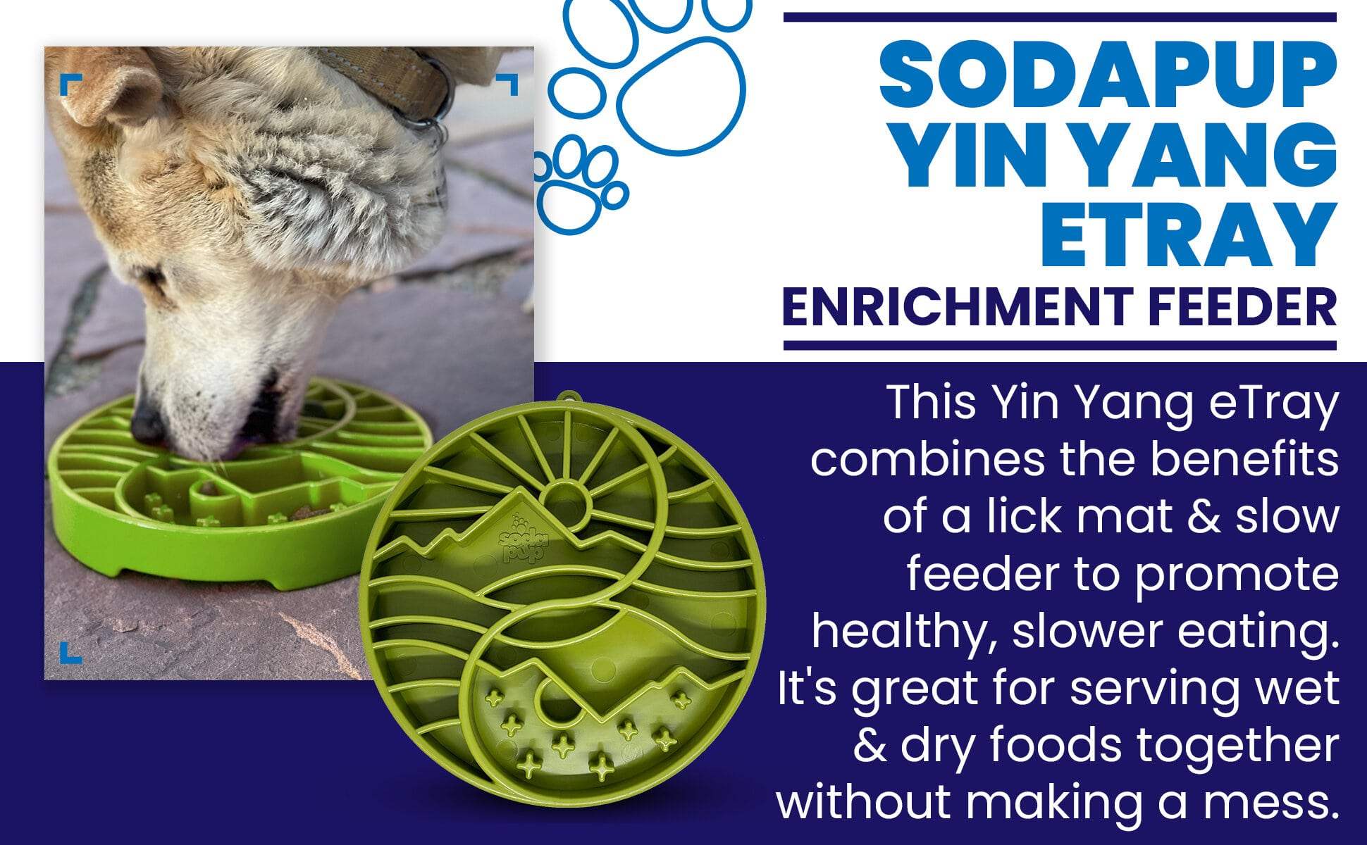 Sun and Moon Design shallow slow feeder dog bowl with yin-yang pattern for enrichment and healthy eating