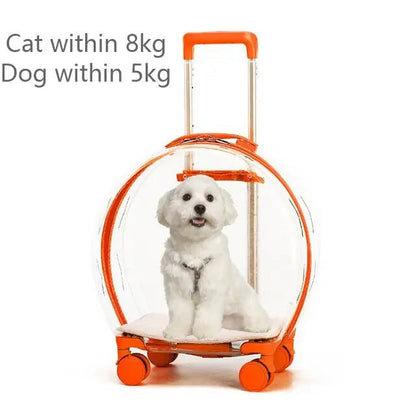 Transparent rolling pet travel trolley with wheels for puppies and cats in pink and green colors