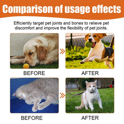Pet Bee Venom Oil bottle with natural ingredients for pet joint care