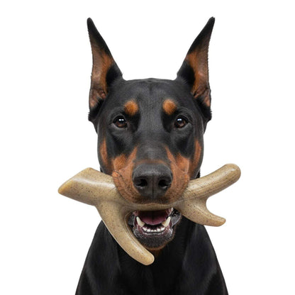 Doberman holding Ever Antler Nylon Chew Bone elk antler-shaped dog toy in mouth