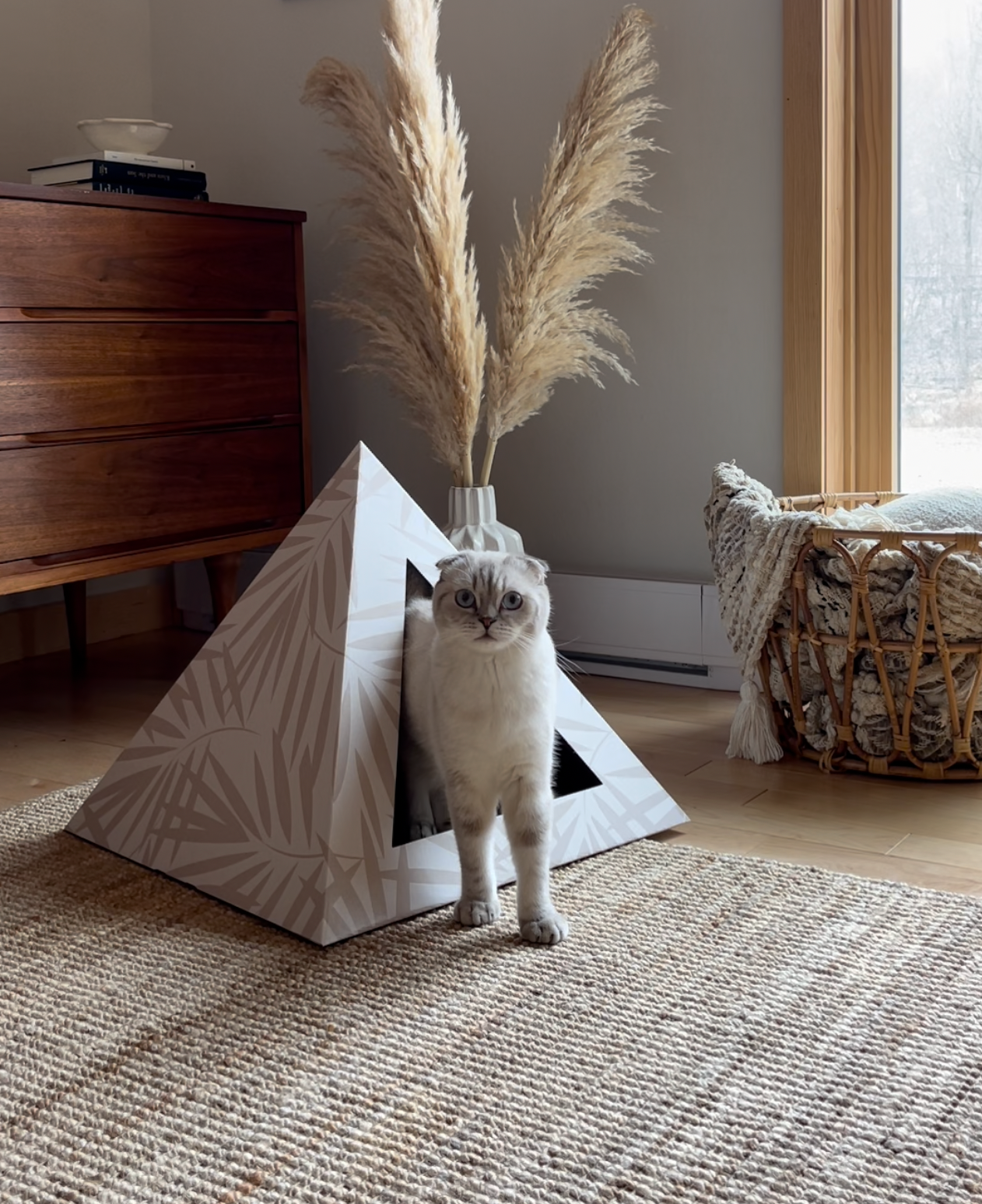 Neutral Palm cardboard cat pyramid with geometric palm leaf design and cat inside in cozy modern living room