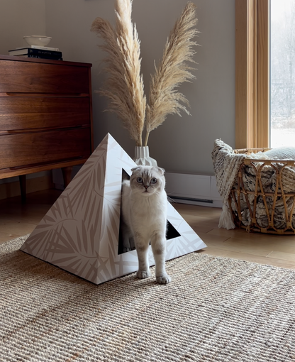 Neutral Palm cardboard cat pyramid with geometric palm leaf design and cat inside in cozy modern living room
