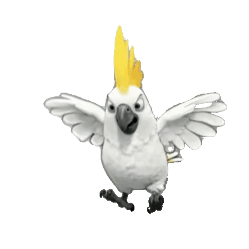 Animated Cockatoo Sticker Pack — 10 GIF Stickers | Instant Digital Download