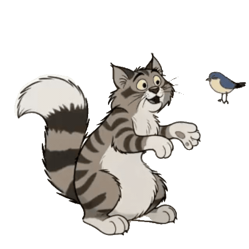 Animated Maine Coon Sticker Pack — 10 GIF Stickers | Instant Digital Download