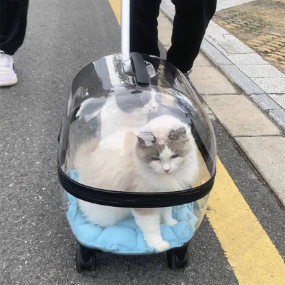 Transparent capsule pet travel trolley carrier bag stroller with wheels for small dogs and cats