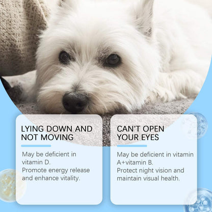 Multivitamin tablets for dogs and pets supporting health, vitality, and vision in various sizes and ages