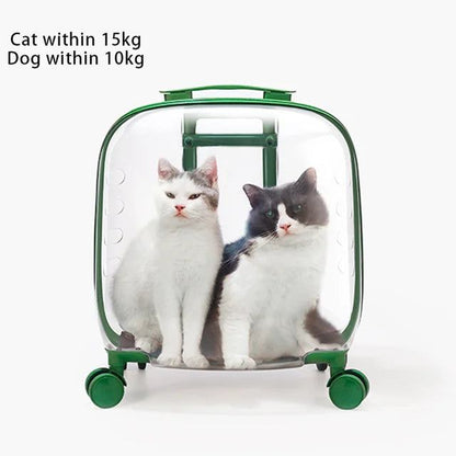 Transparent rolling pet travel trolley with wheels for puppies and cats in pink and green colors