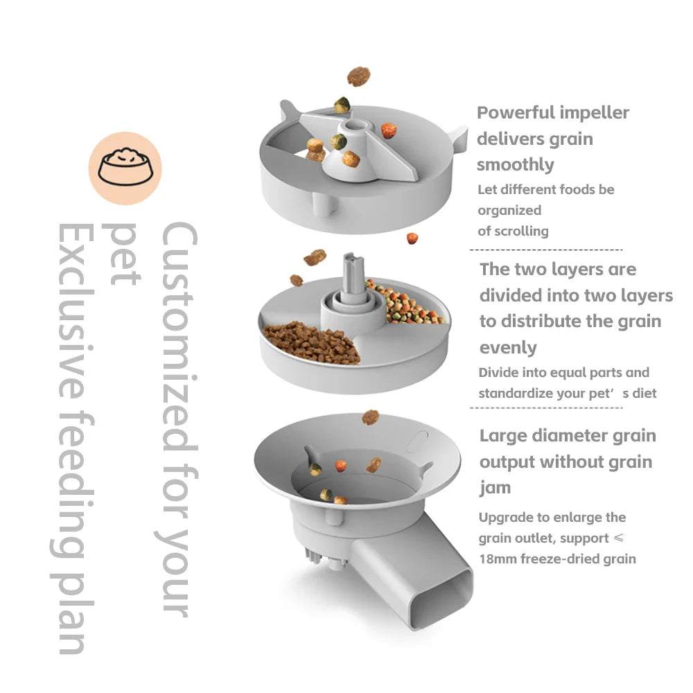 Double bowls smart automatic cat feeder with camera and large 5L capacity grain storage for dry pet food dispensing