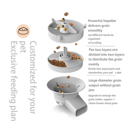 Double bowls smart automatic cat feeder with camera and large 5L capacity grain storage for dry pet food dispensing