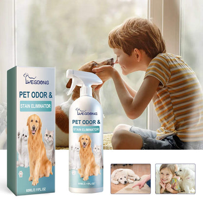 Pet Odor & Stain Eliminator spray bottle with natural extracts for removing pet odors and stains indoors