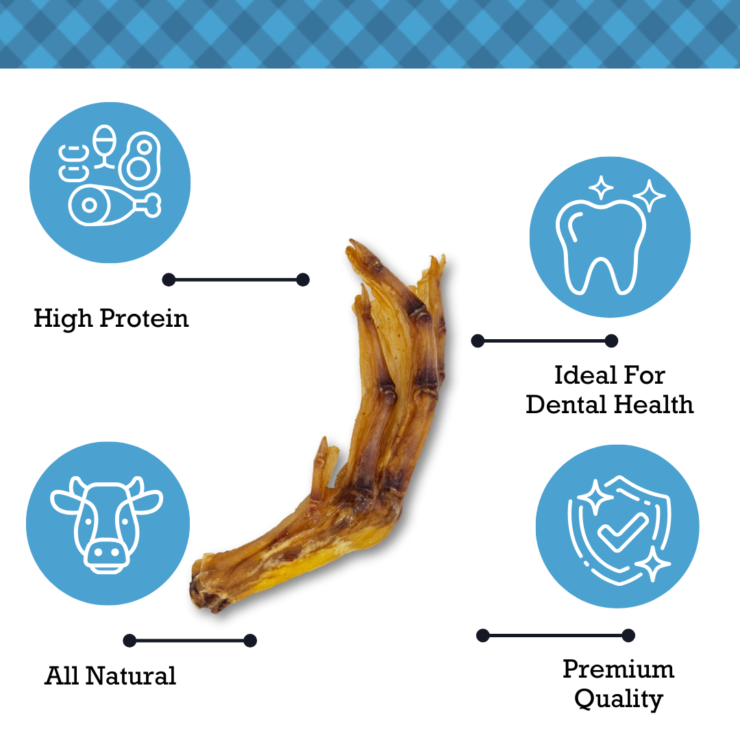 Country Living All-Natural Duck Feet dog treat showcasing high protein, dental health benefits, all-natural ingredient, and premium quality chewCountry Living All-Natural Duck Feet crunchy dog chew promoting dental health and long-lasting fun