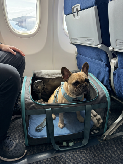 MINI-GUIDE 5  —  French Bulldog Travel & Seasonal Safety 2025 Edition | Instant Digital Download