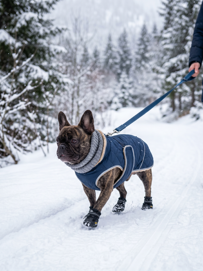 MINI-GUIDE 5  —  French Bulldog Travel & Seasonal Safety 2025 Edition | Instant Digital Download