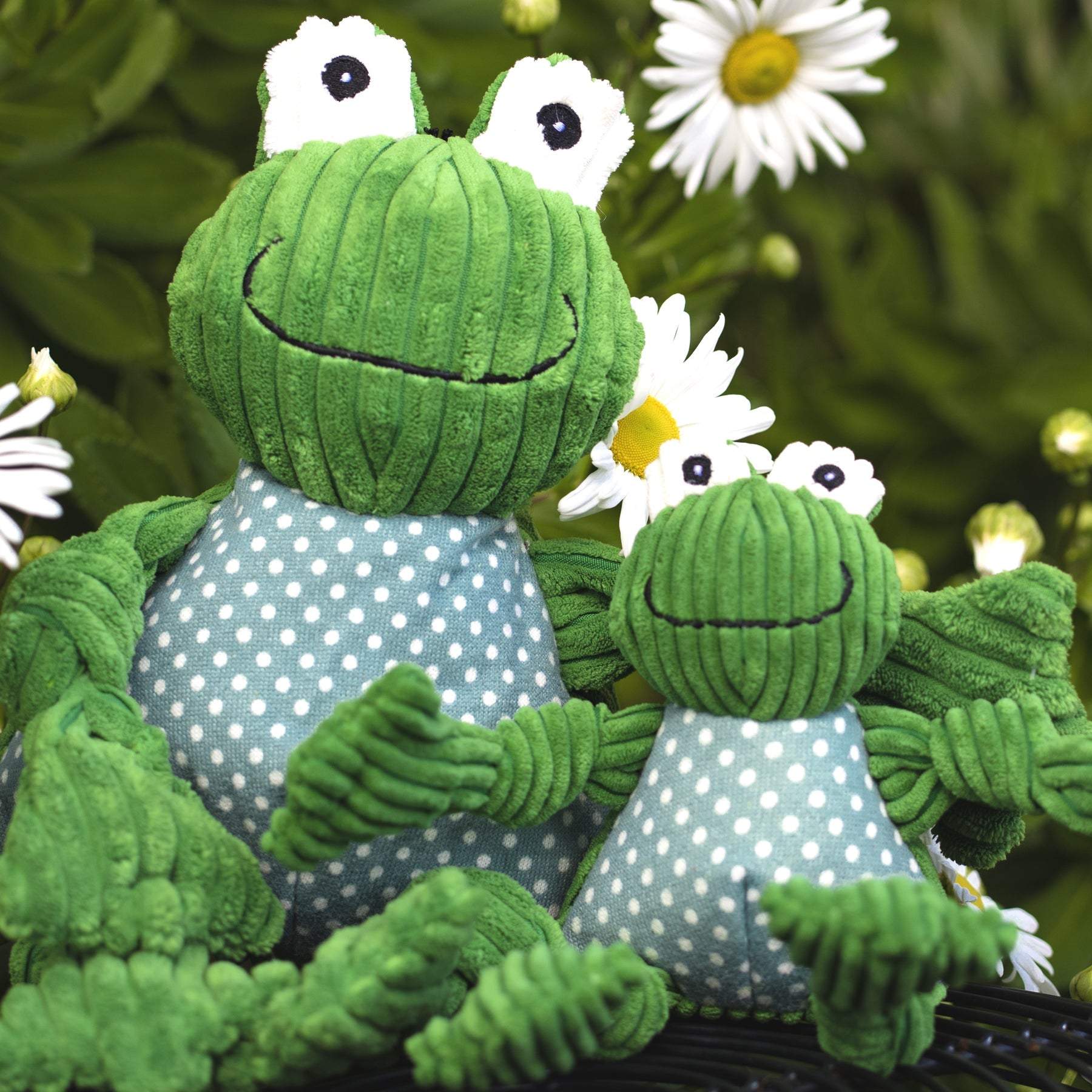 Fergie Frog Knottie® plush dog toy with durable Tuffut Technology and squeakers