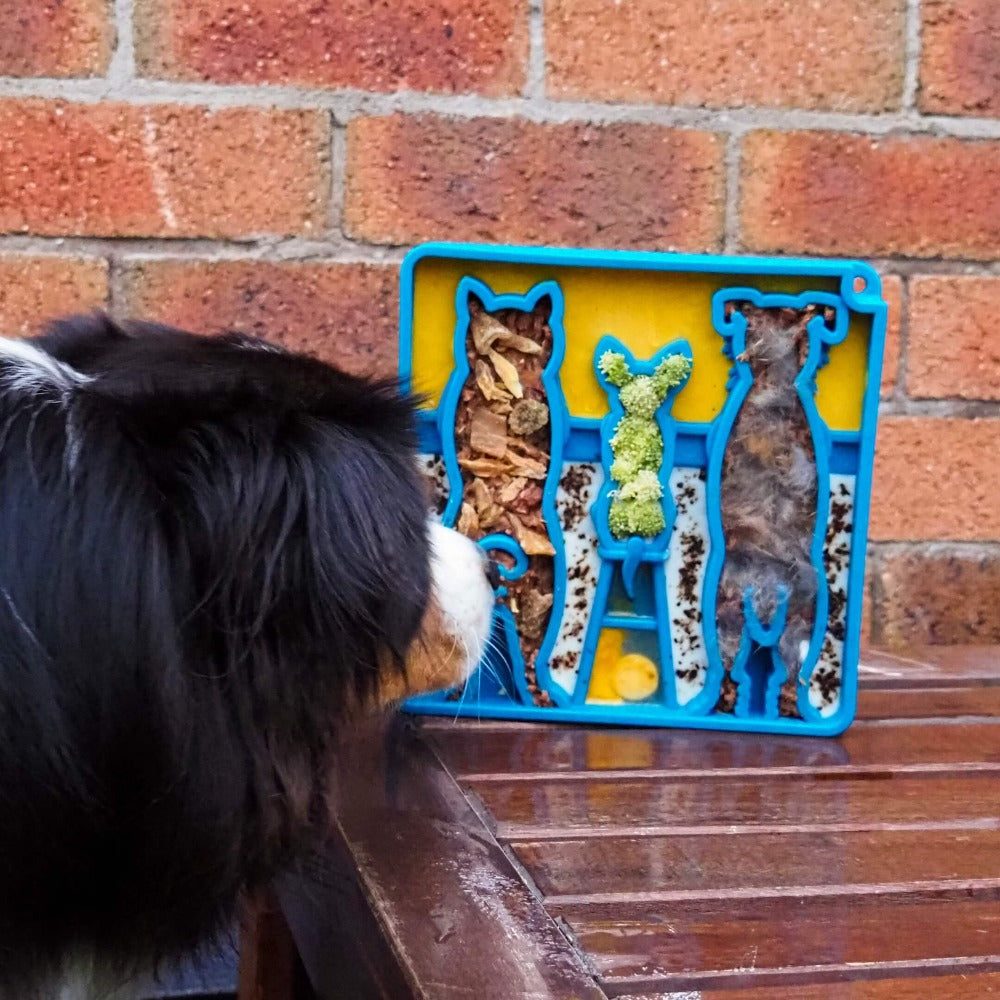 Dog eating from a blue shallow Waiting Dogs Design eTray slow feeder tray with raised ridges for enrichment and slow feeding