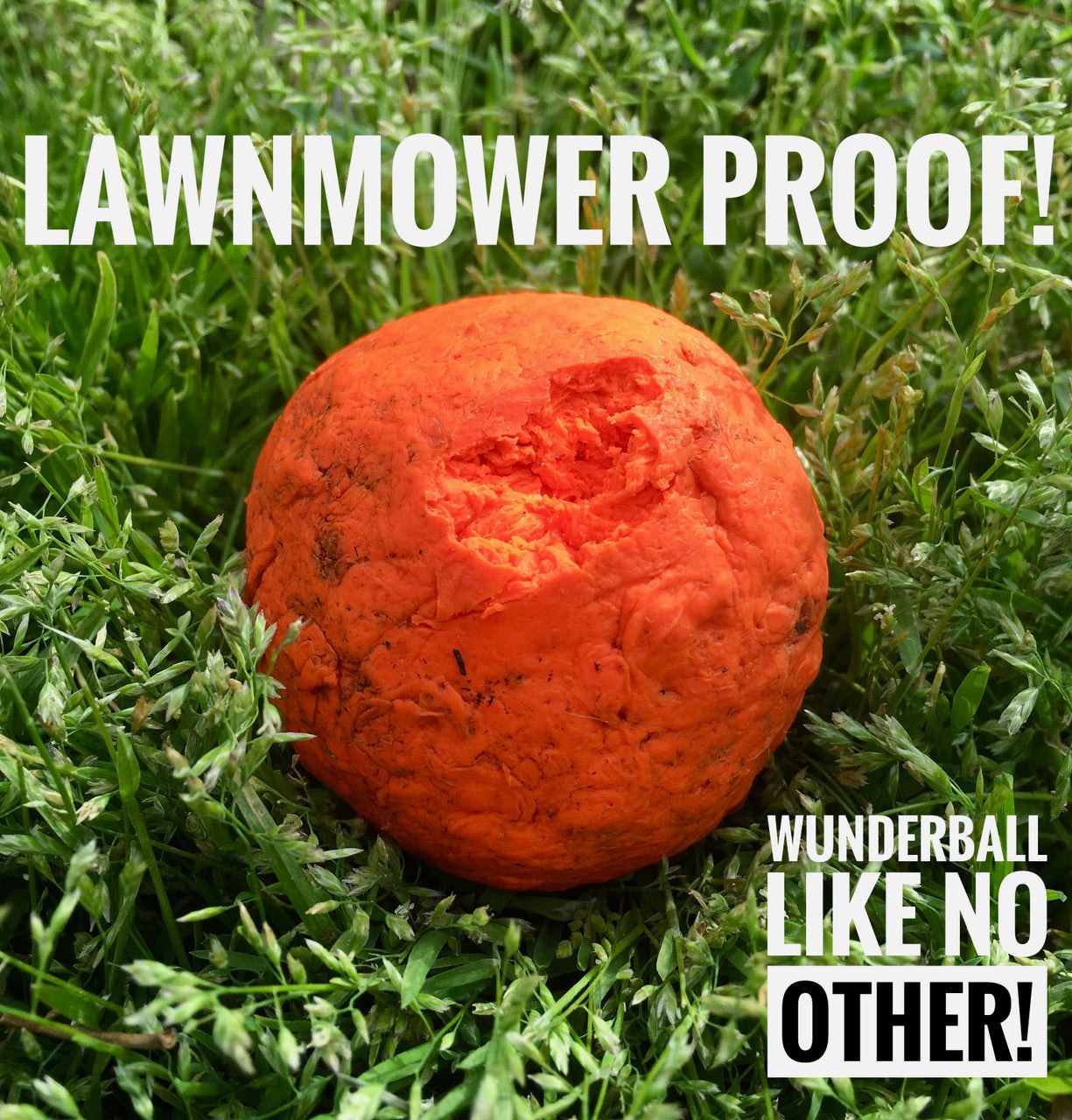WUNDERball Best Fetch Toy - Durable, Safe & Unpredictable Dog Ball