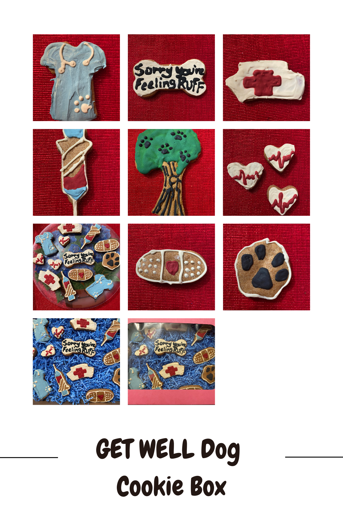 Get Well Organic Dog Cookie Box with medical-themed organic dog treats including IV bag, stethoscope scrubs, bandage, and paw prints on red background