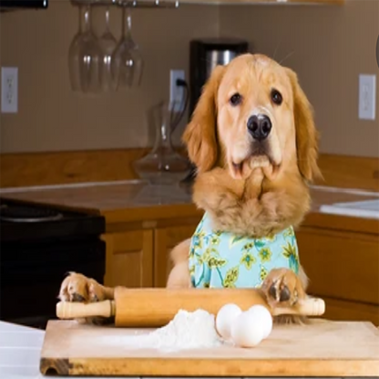 Golden retriever dog wearing a blue floral bandana with rolling pin, flour, and eggs on kitchen counter preparing peanut butter macarons organic dog treats