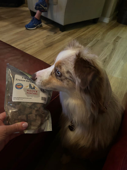 Freeze Dried Beef Liver Treats | 4oz.