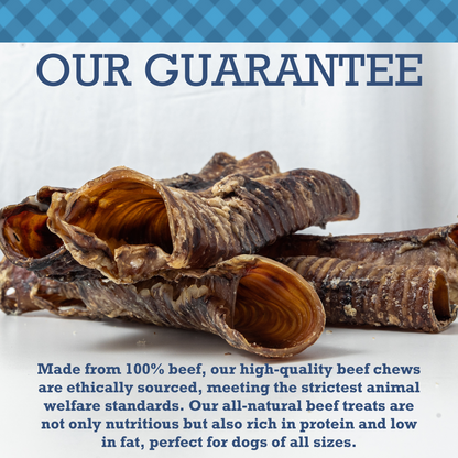 Country Living All-Natural Beef Trachea Dog Treats 12-inch protein-packed chews for joint and dental health 5-pack