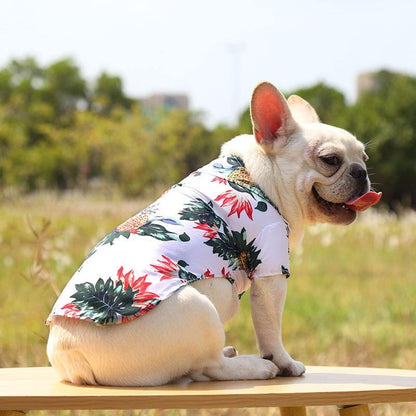Hawaiian Pet Shirts - Stylish Summer Dog & Cat Shirts, Coconut Print