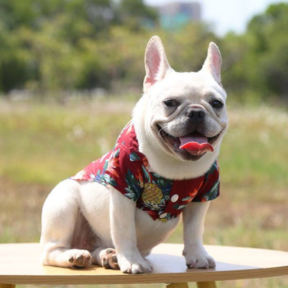 Hawaiian Pet Shirts - Stylish Summer Dog & Cat Shirts, Coconut Print