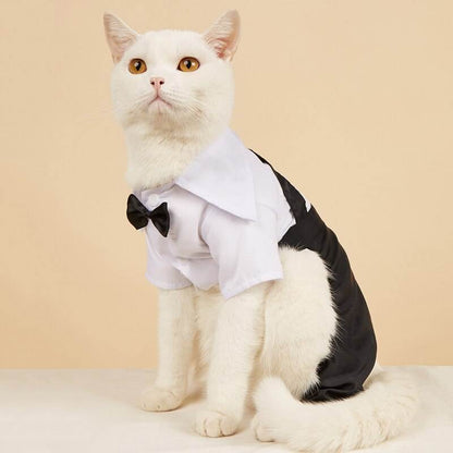 White cat wearing a stylish black and white pet suit with bow tie sitting against beige background