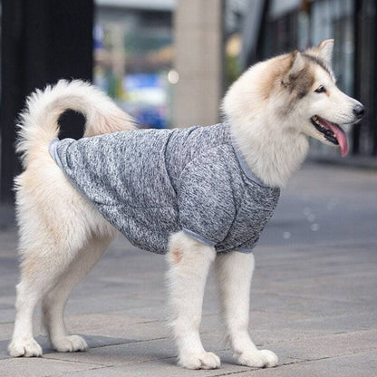 Large dog wearing gray fleece winter warm pet sweater outdoors