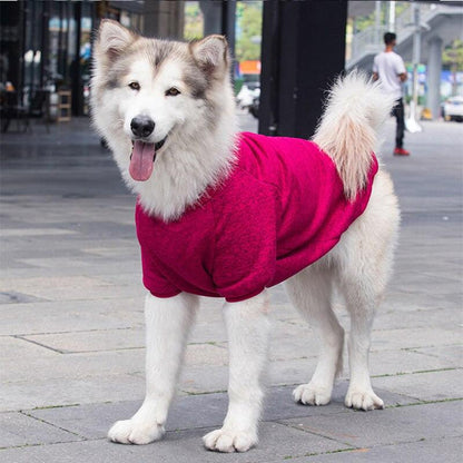 Large dog wearing a burgundy winter warm pet sweater outdoors