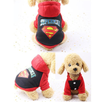 Small dog wearing red and black cartoon hoodie sweater with "Superman" logo and hood