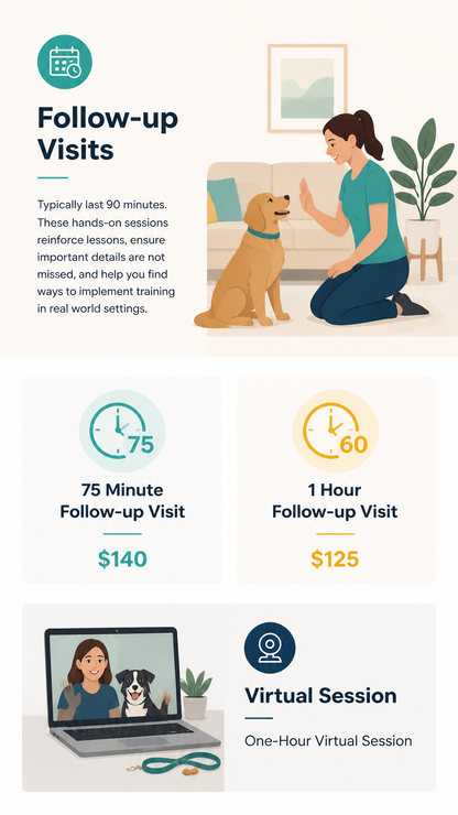 Follow-Up Session (Zen Dog Training - 60 Minutes)