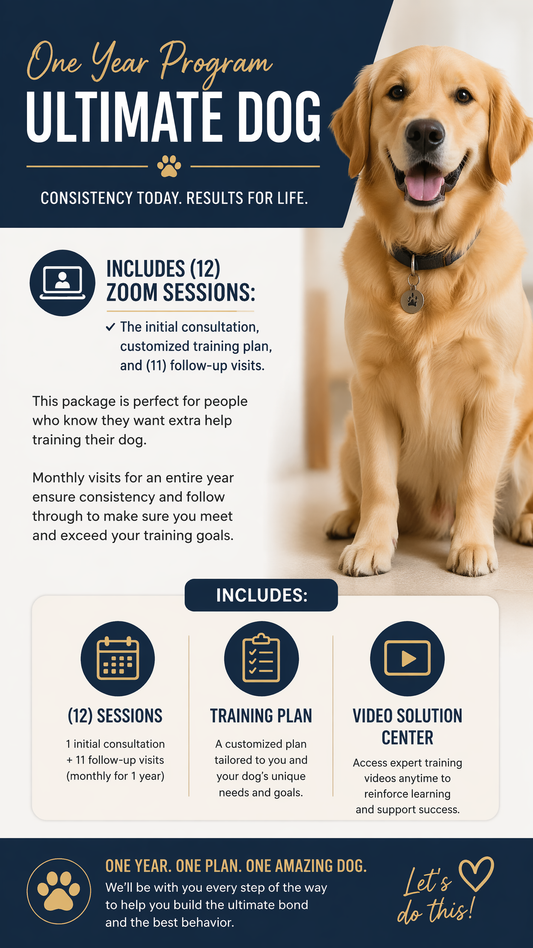 One Year Program - Ultimate Dog (Zen Dog Training)