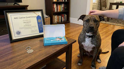 Pit Bull Owner’s Legal Survival Guide 2025 edition with legal and advocacy resources for bully breed owners